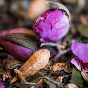 Tisane Bio NUIT PAISIBLE * 